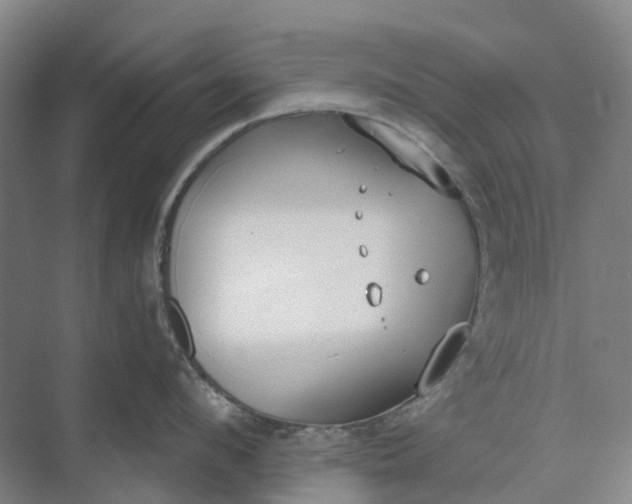 X0000073950912200609051749