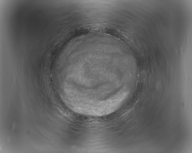 X0000073950913200609051749