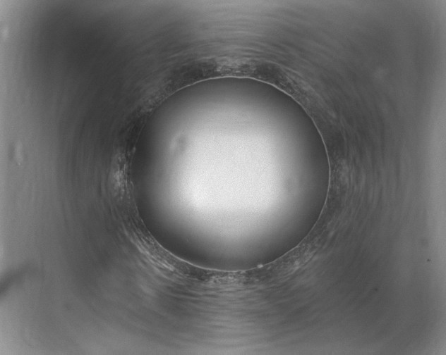 X0000073950914200609051749