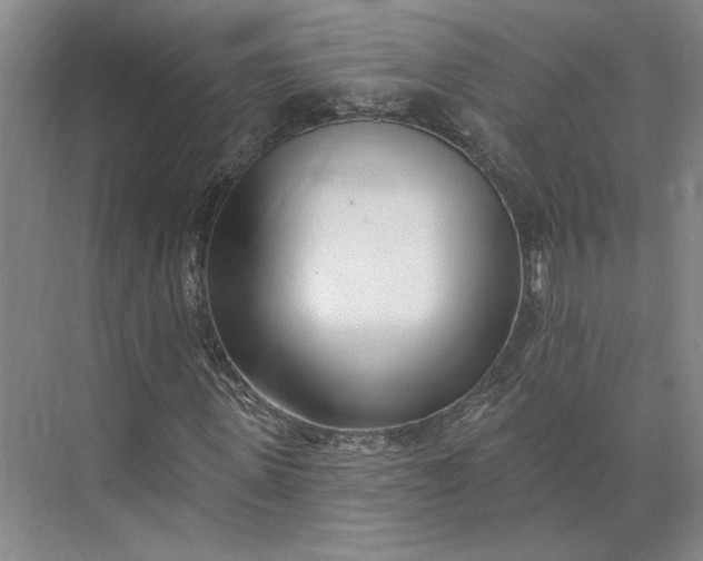 X0000073950915200609051749