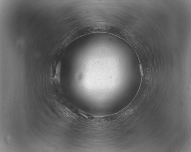 X0000073950916200609051749