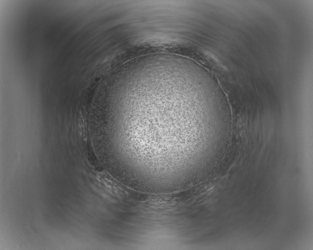 X0000073950917200609051749