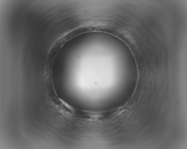 X0000073950920200609051749