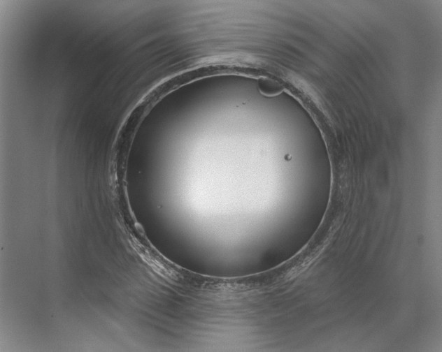 X0000073950923200609051749