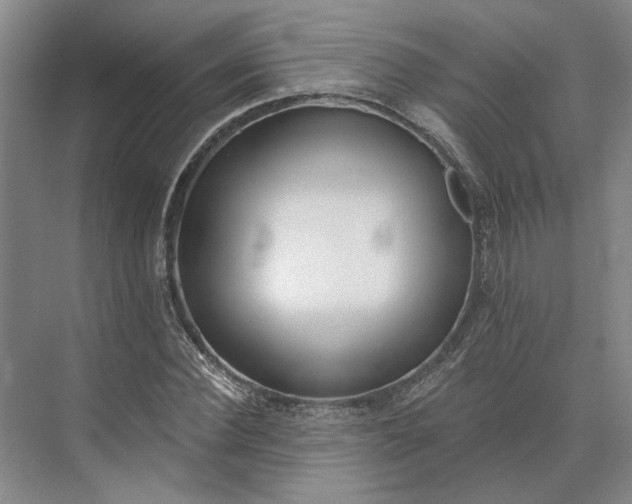 X0000073950924200609051749