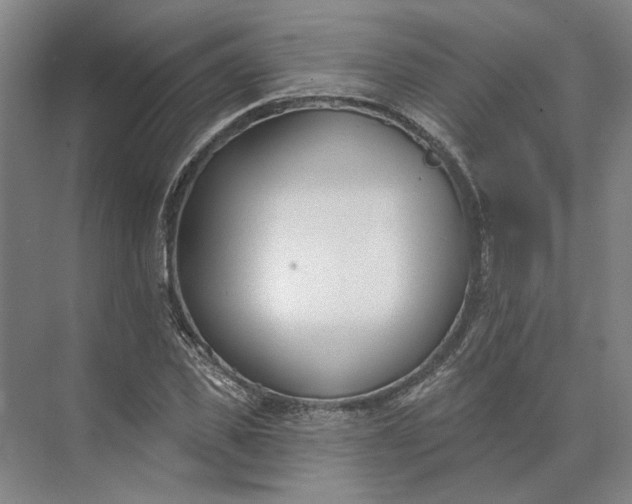 X0000073950925200609051749