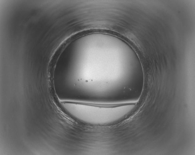 X0000073950926200609051749