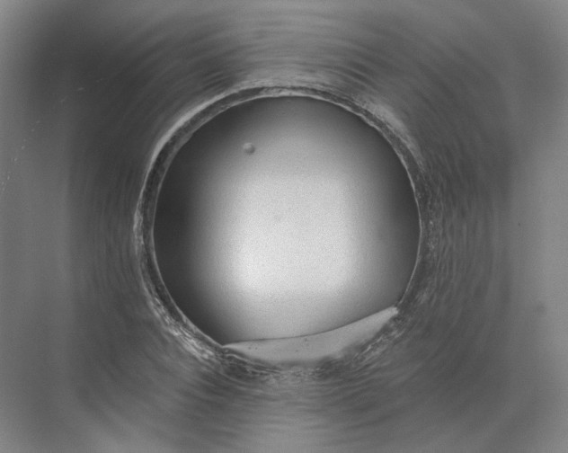 X0000073950928200609051749