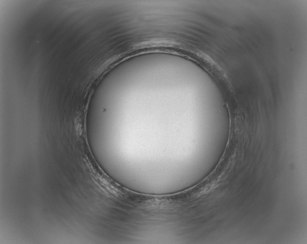 X0000073950929200609051749