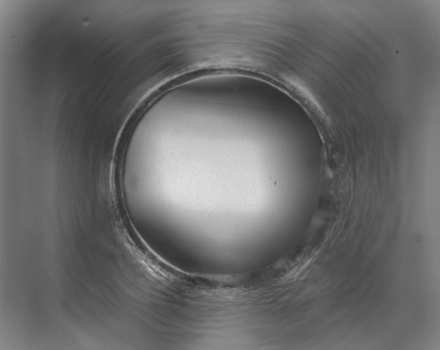 X0000073950932200609051749