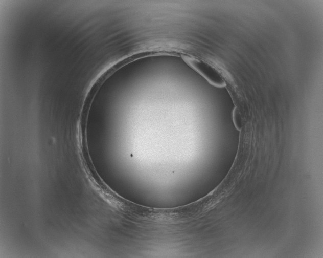 X0000073950936200609051749