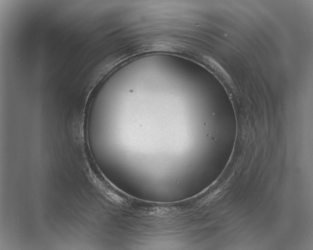 X0000073950938200609051749