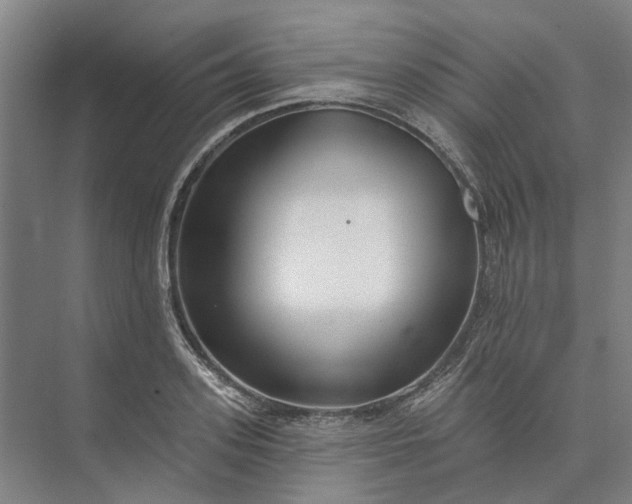 X0000073950939200609051749