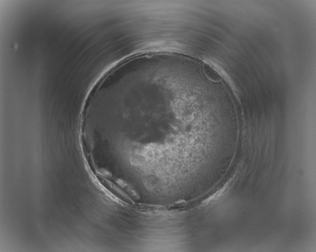 X0000073950941200609051749