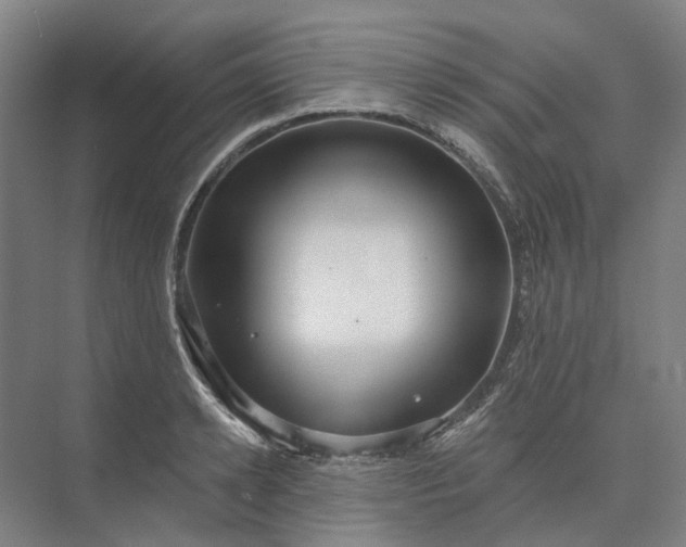 X0000073950942200609051749