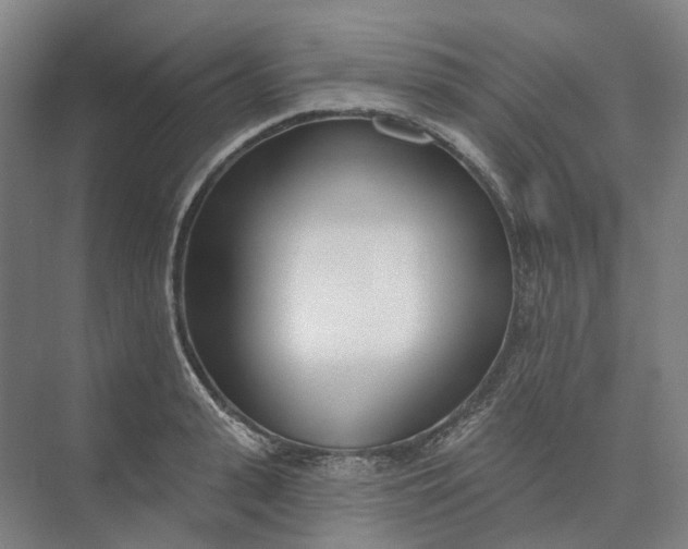 X0000073950943200609051749