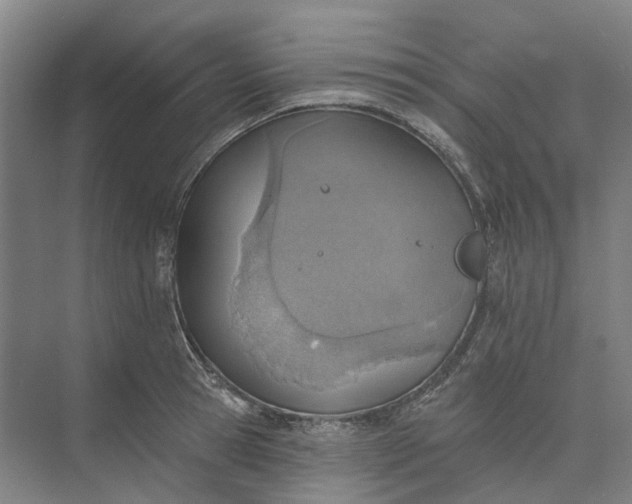 X0000073950945200609051749