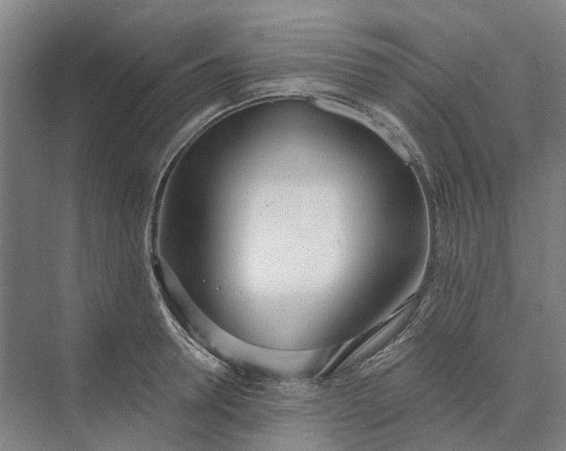 X0000073950946200609051749