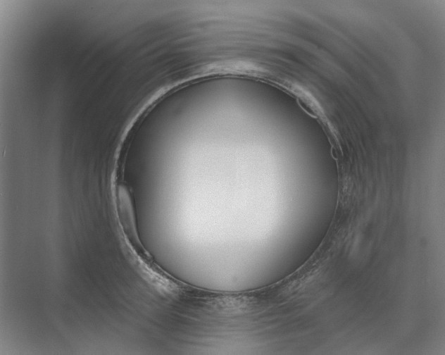 X0000073950947200609051749