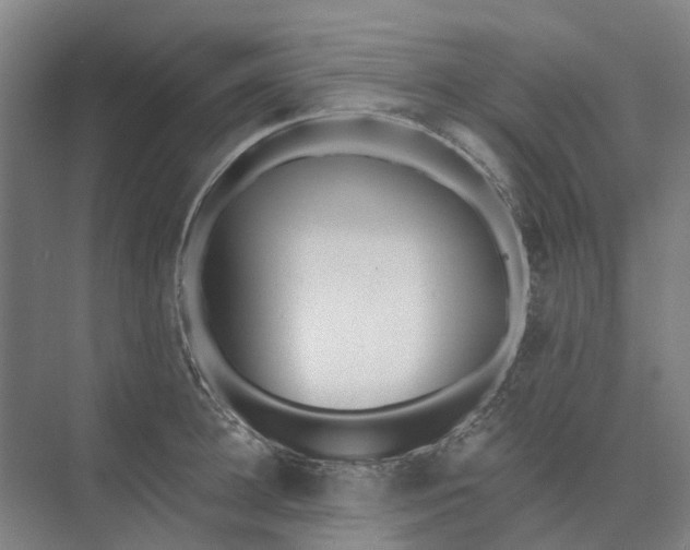 X0000073950948200609051749