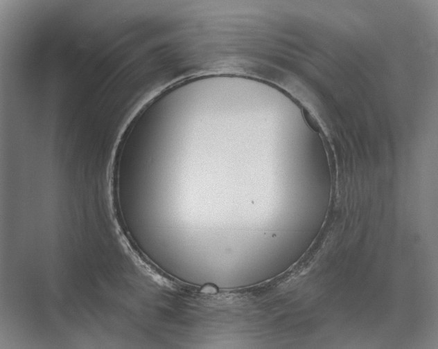 X0000073950949200609051749