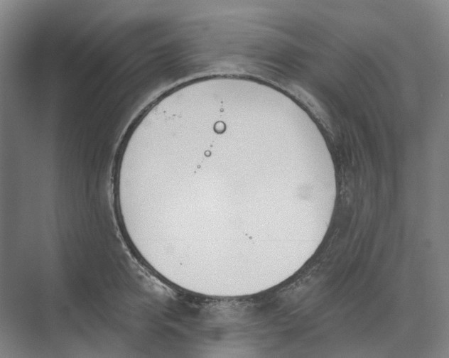 X0000073950950200609051749