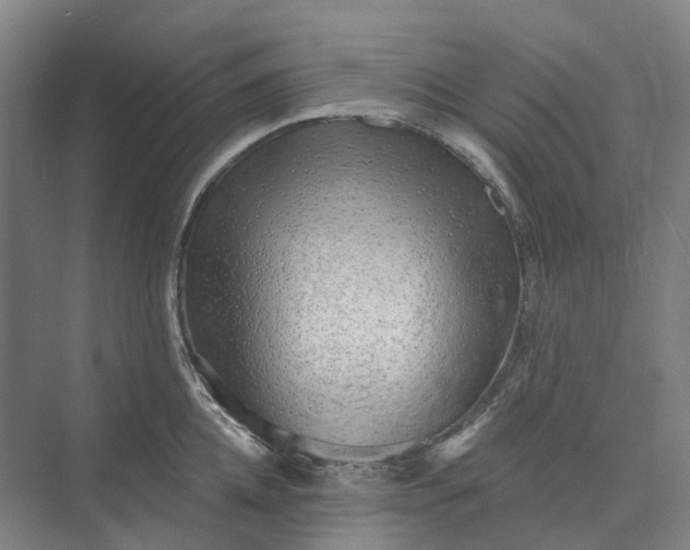 X0000073950952200609051749