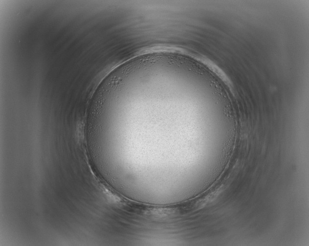 X0000073950953200609051749