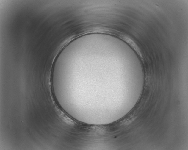 X0000073950954200609051749