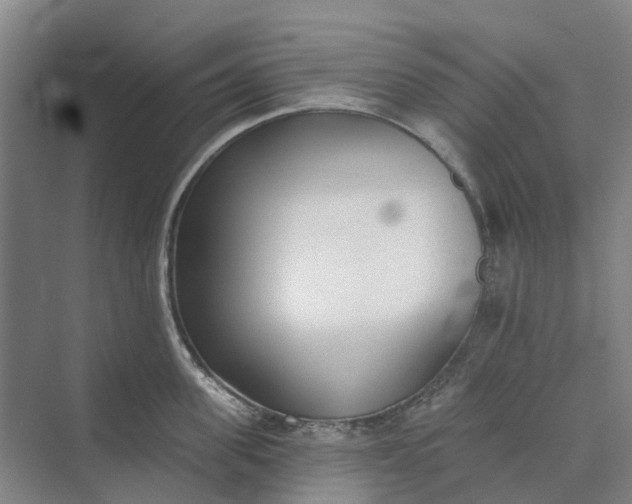 X0000073950955200609051749