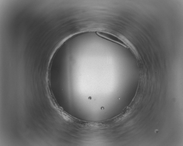 X0000073950956200609051749