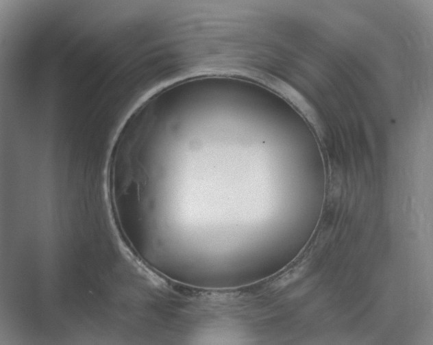 X0000073950958200609051749