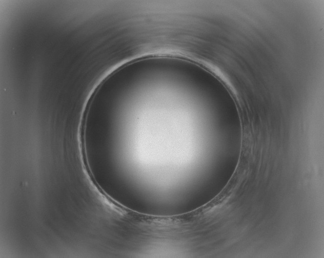 X0000073950959200609051749