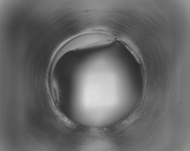 X0000073950960200609051749