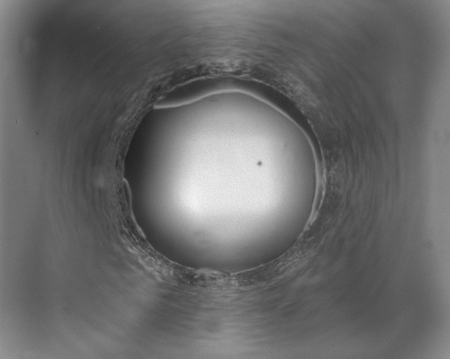 X0000073950961200609051749