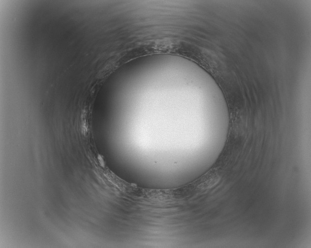 X0000073950962200609051748