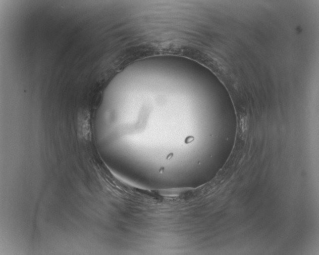 X0000073950963200609051748