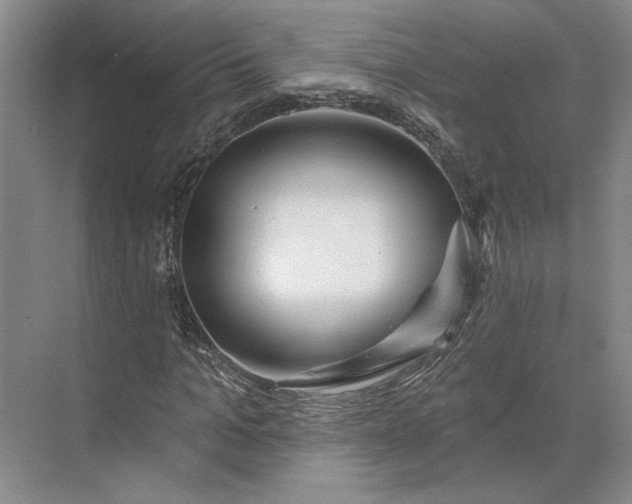 X0000073950965200609051748