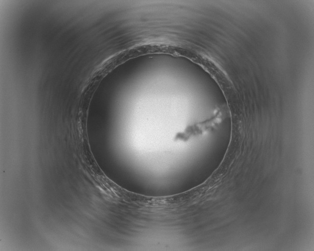 X0000073950968200609051748