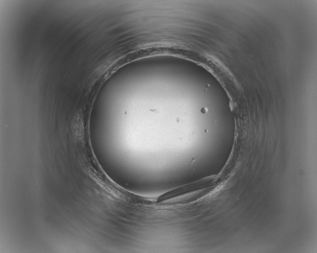 X0000073950969200609051748