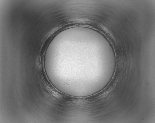 X0000073950970200609051748