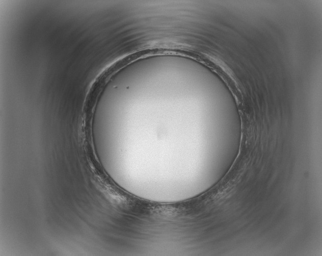 X0000073950971200609051748