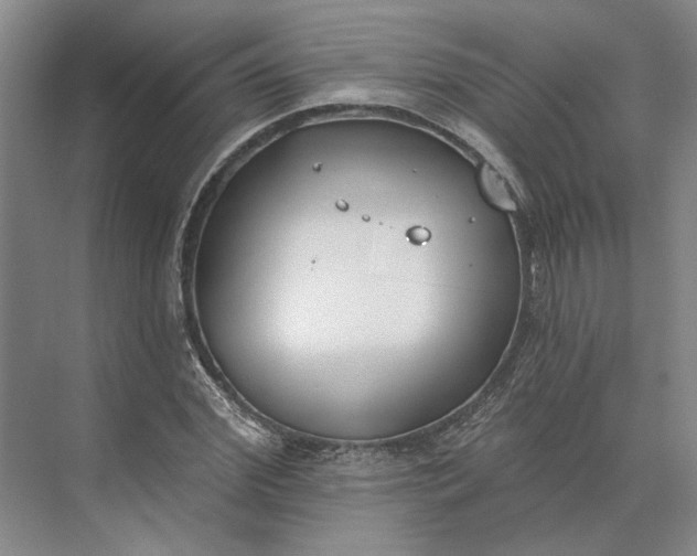 X0000073950972200609051748