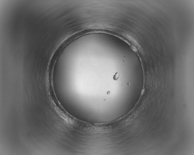 X0000073950976200609051748