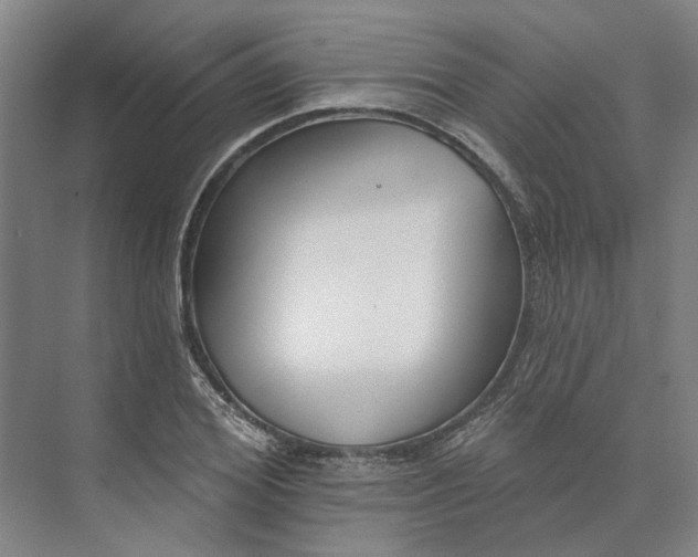 X0000073950980200609051748