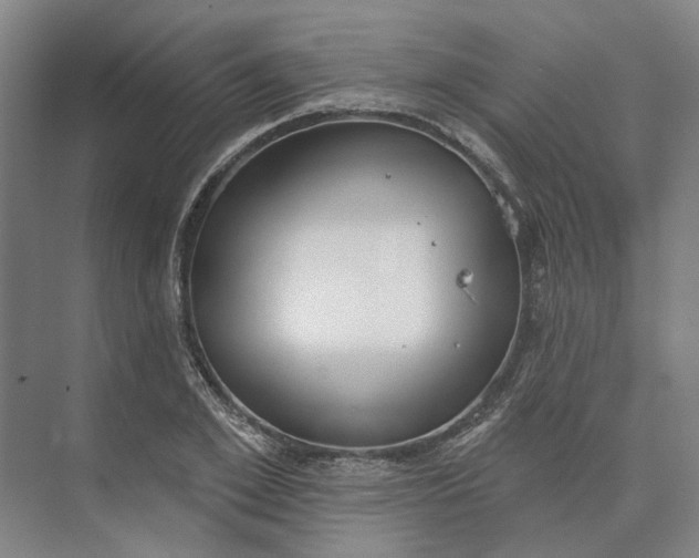 X0000073950981200609051748