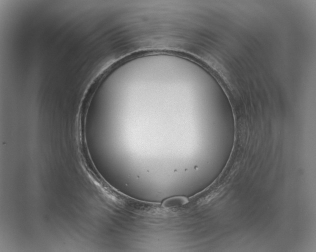 X0000073950982200609051748