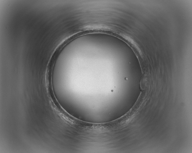 X0000073950983200609051748