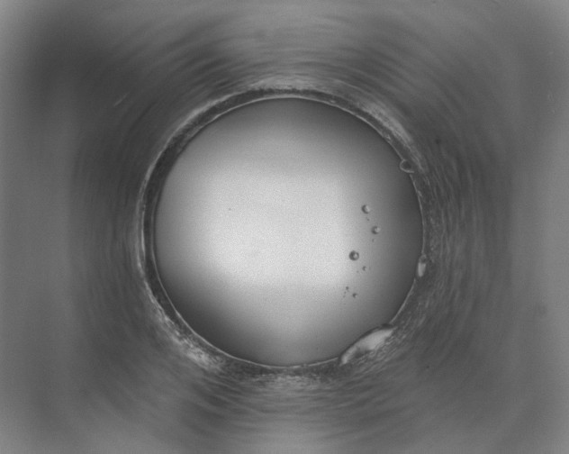 X0000073950984200609051748