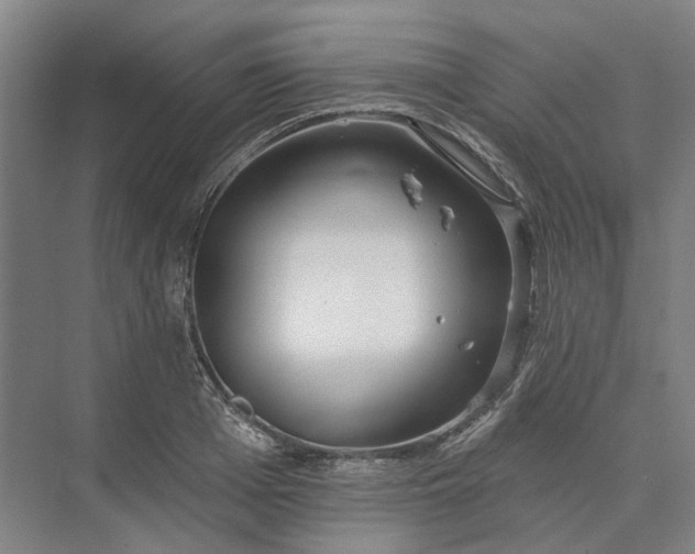 X0000073950985200609051748